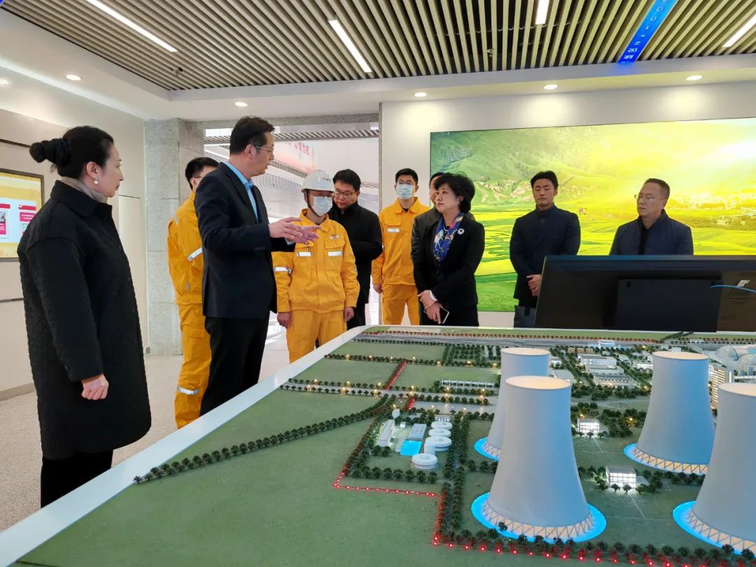 民革徐州市委会开展市政协大会发言专题调研